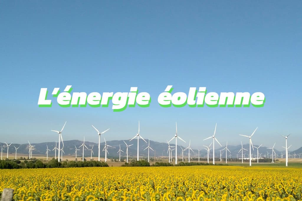 Tout savoir sur l'énergie éolienne