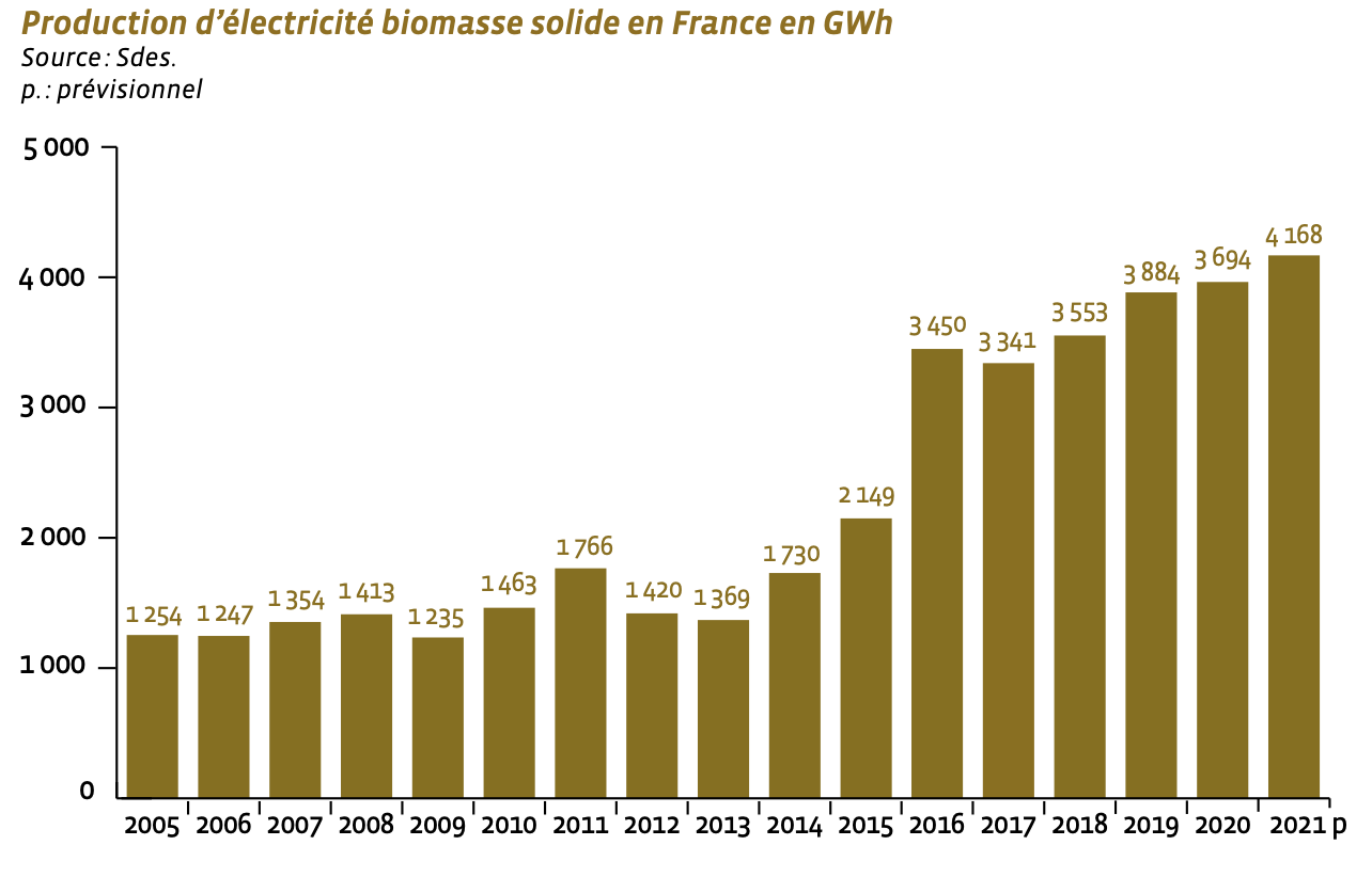 production d'électricité à partir de biomasse