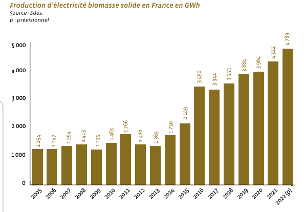 production d'électricité à partir de biomasse