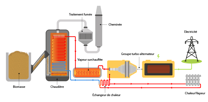 fonctionnement d'une centrale à biomasse