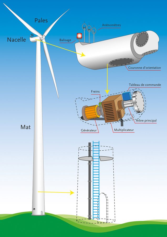 fonctionnement et composition d'une éolienne
