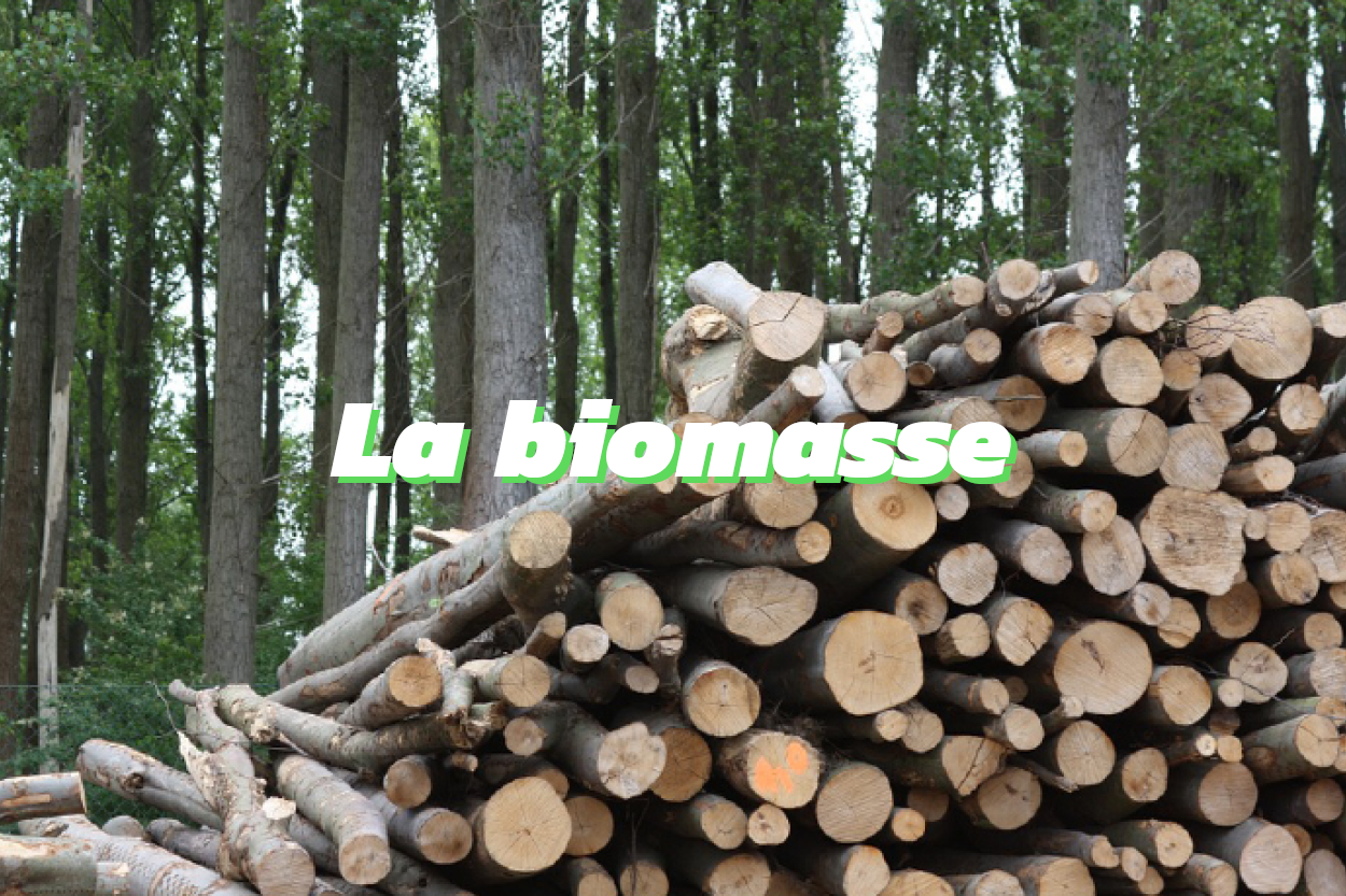 Qu'est ce que la biomasse ?