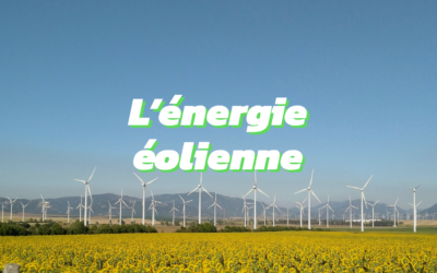 Tout ce que vous devez savoir sur l’énergie éolienne