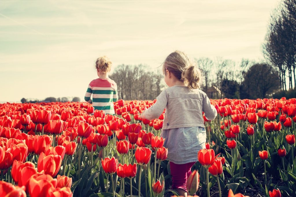 changement climatique en famille