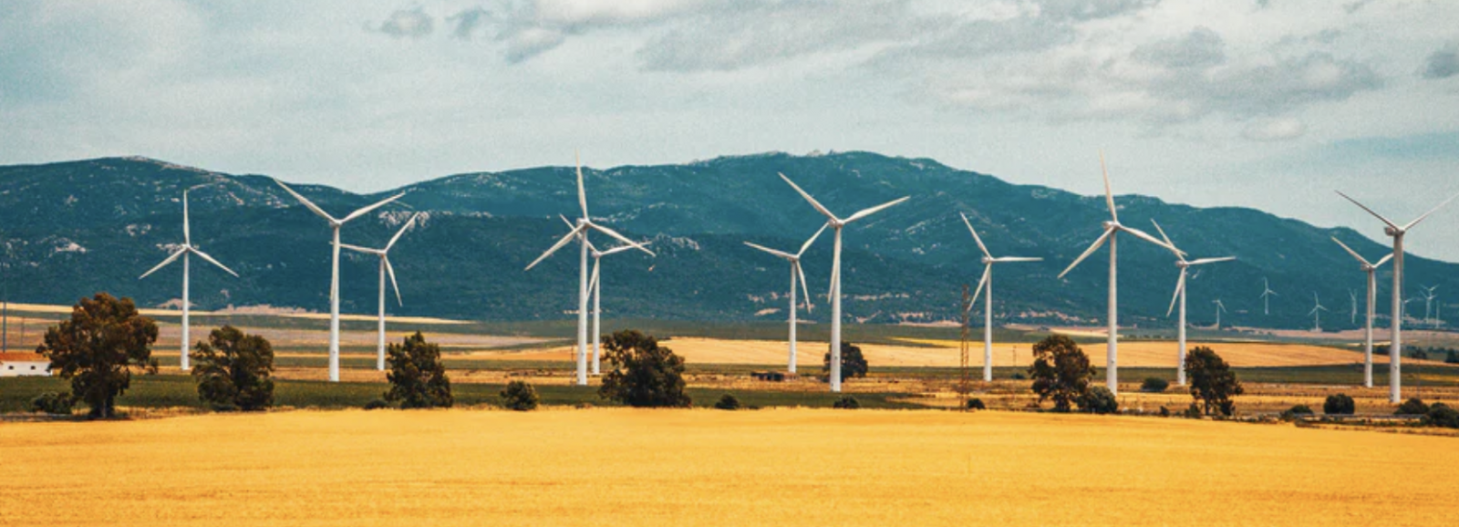 baromètre 2019 de la consommation d’électricité verte