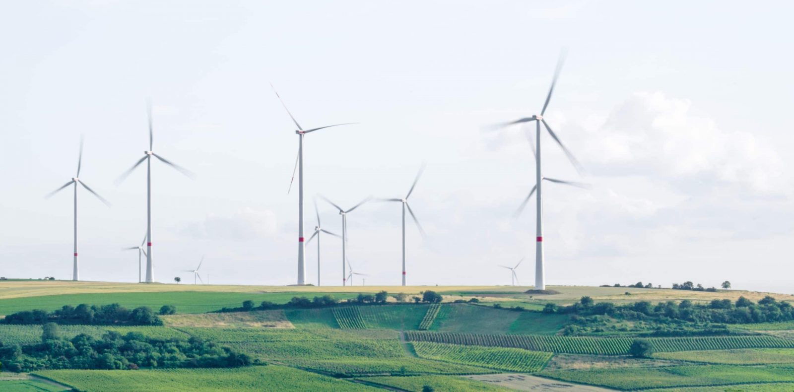 consommer de l'électricité verte pour la transition énergétique