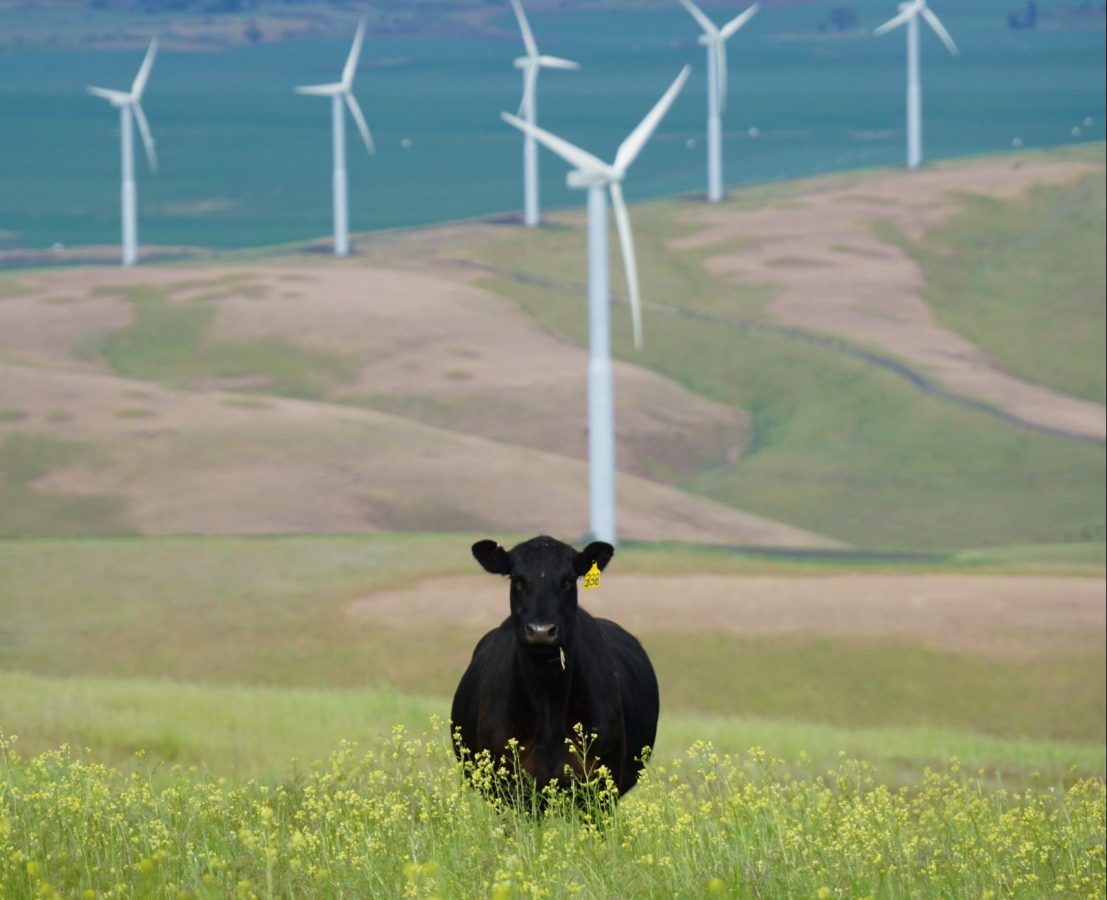 les enjeux du dérèglement climatique