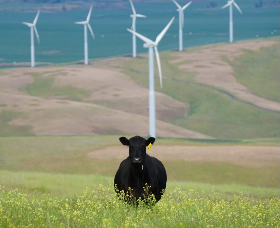 les enjeux du dérèglement climatique