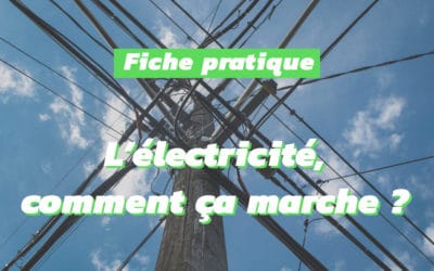 Le marché de l’électricité : entre flux physiques et conventions