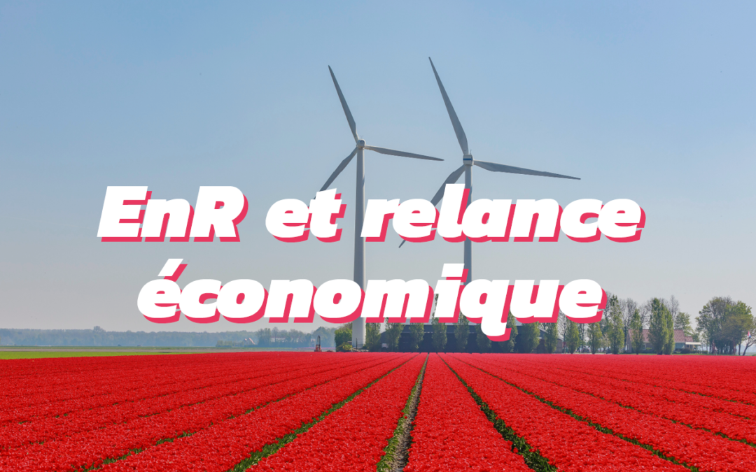 Énergies renouvelables et potentiel économique