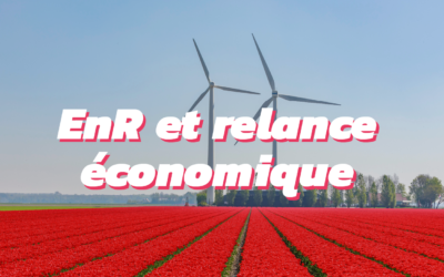 Énergies renouvelables et potentiel économique