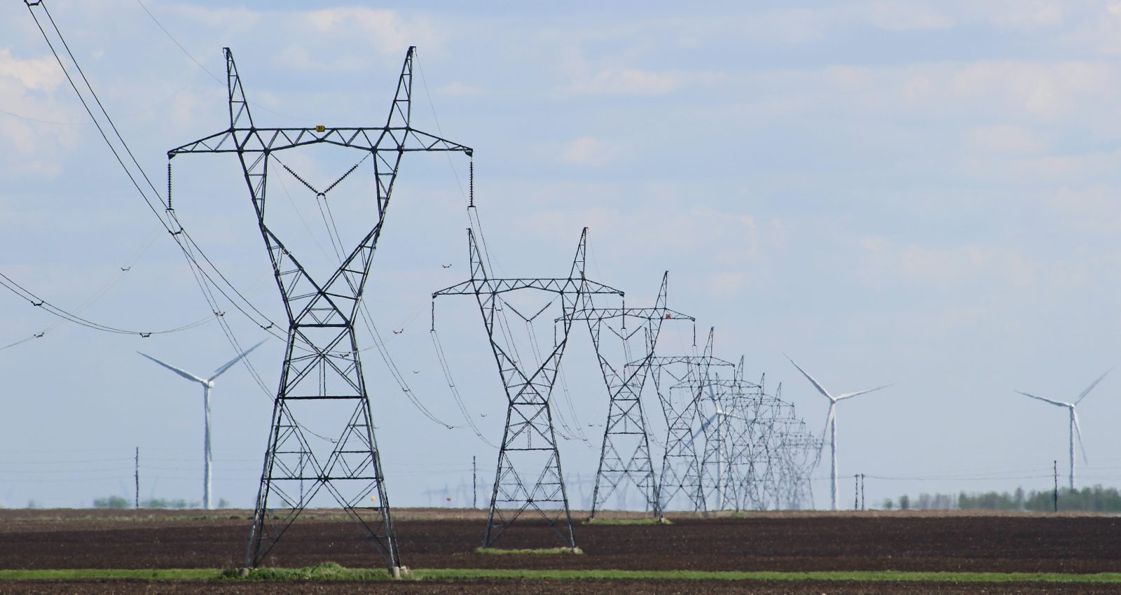 label d'électricité verte, quels sont ceux déjà existants ?