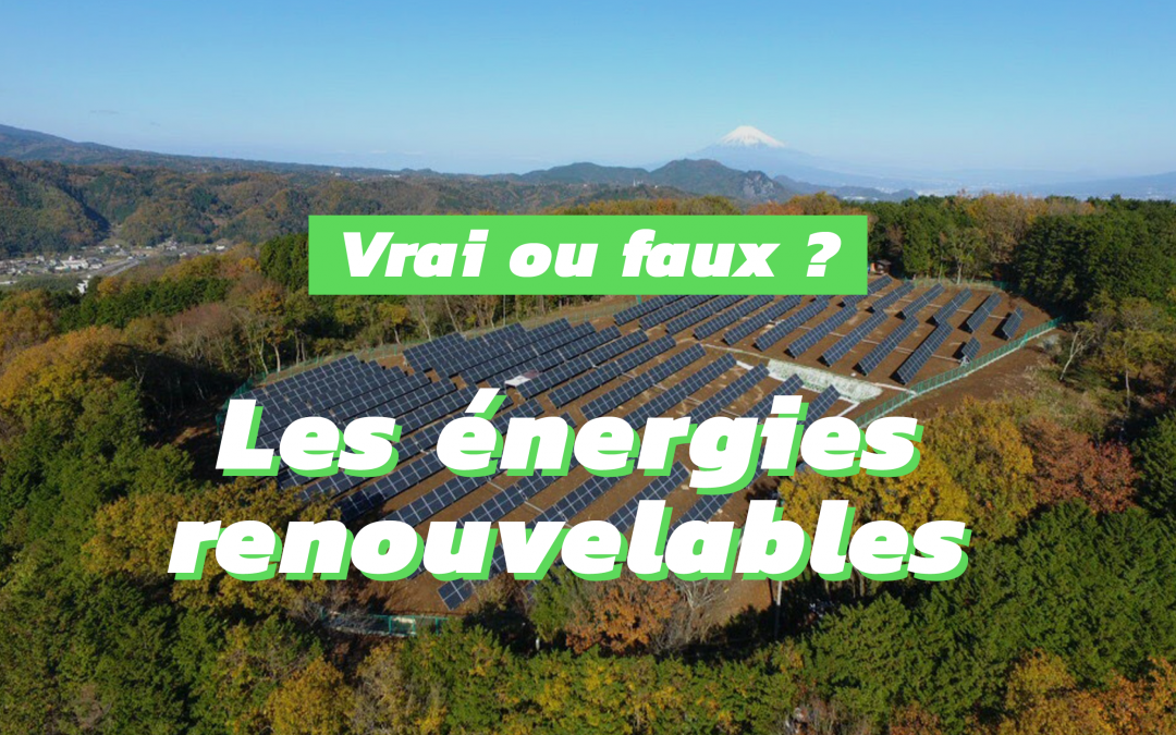 Idées reçues sur les énergies renouvelables