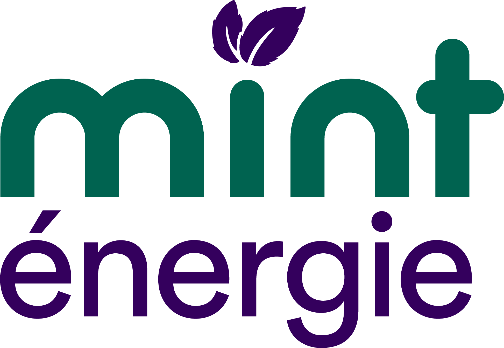 logo fournisseur mint energie