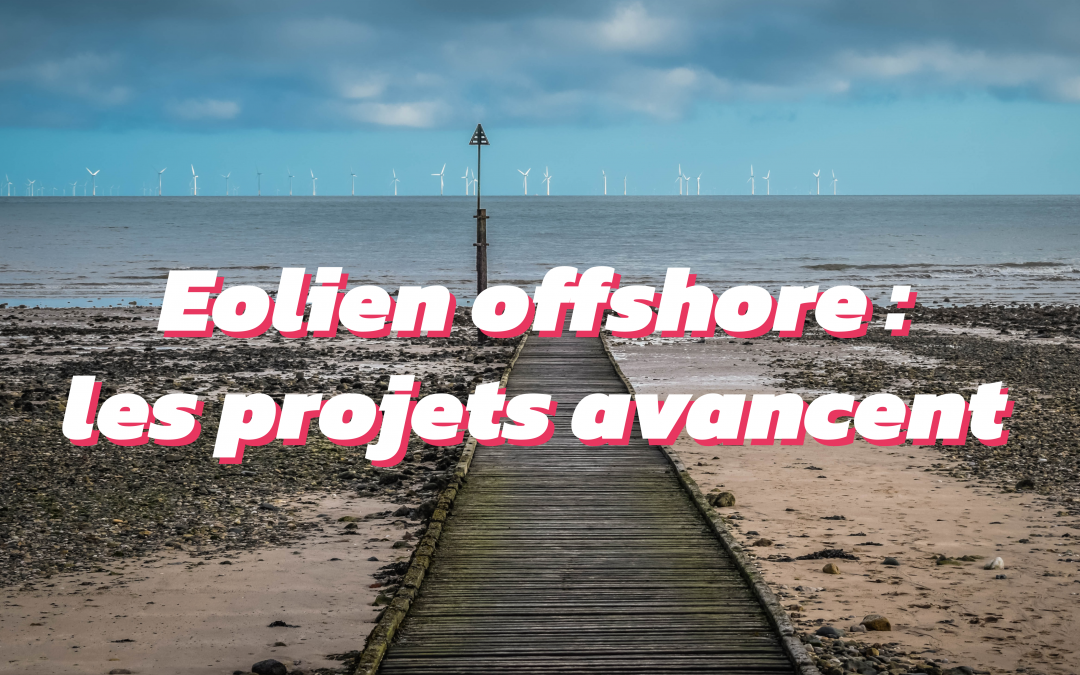 Éolien offshore : quelles avancées sur les projets ?