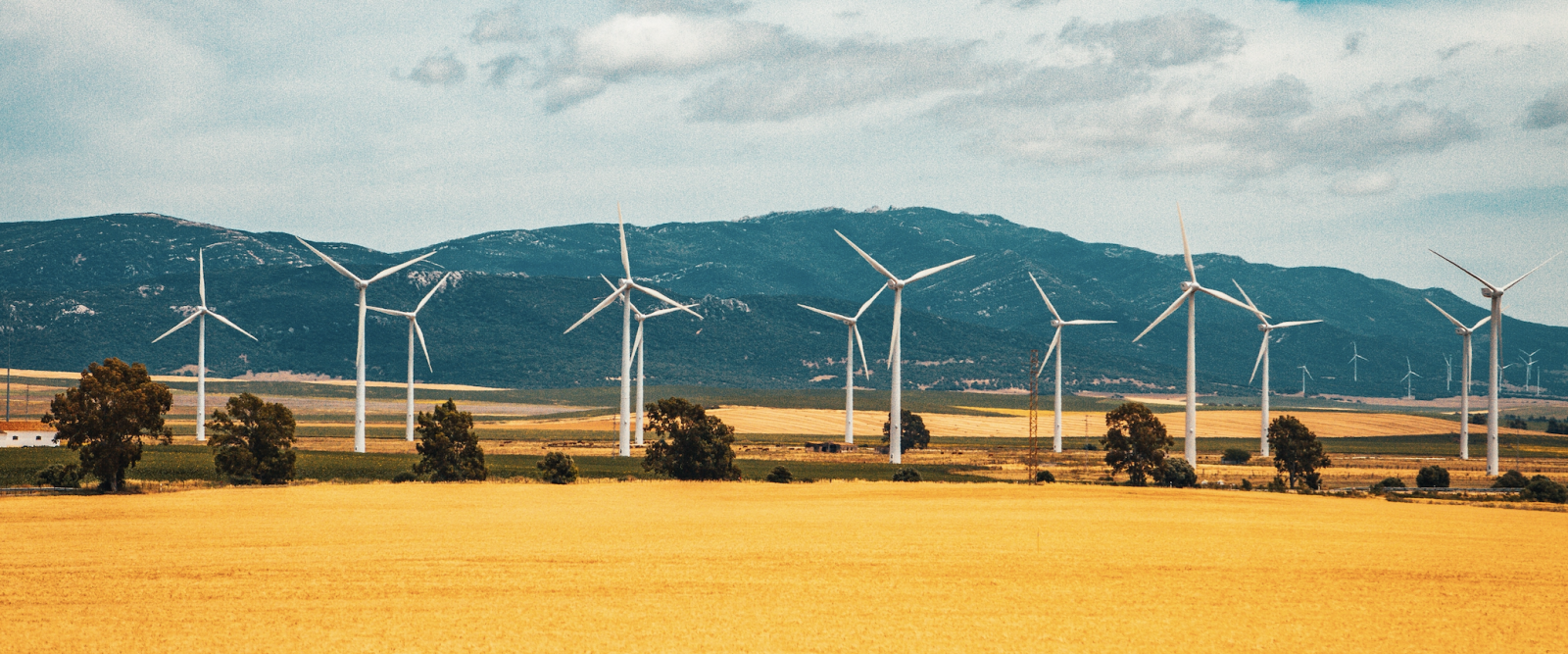 la traçabilité sur le marché de l'électricité