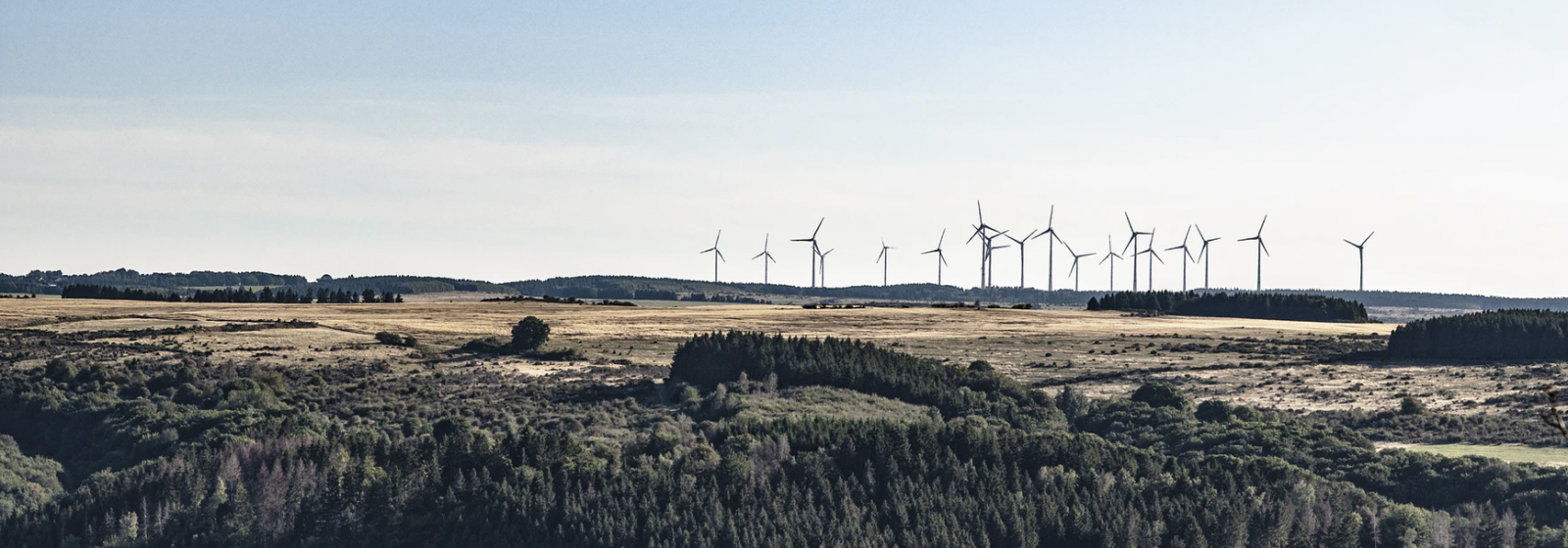 prix de l'électricité et développement des énergies renouvelables