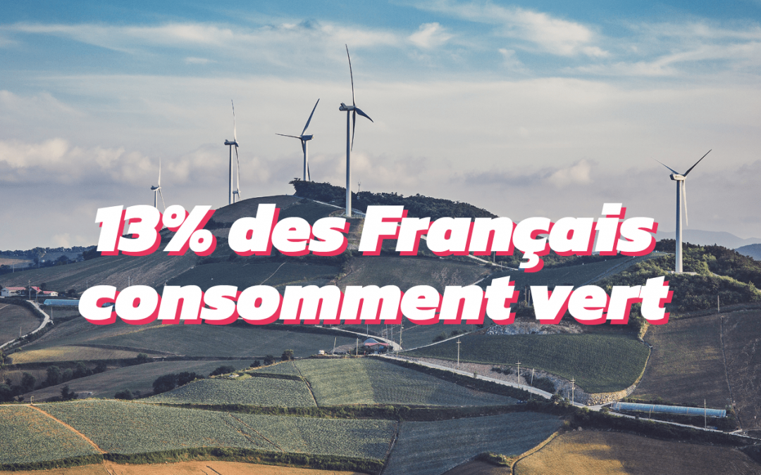 Quelle consommation volontaire d’électricité verte ?