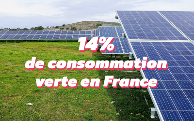 Quelle est la consommation volontaire d’électricité verte en Europe en 2022 ?
