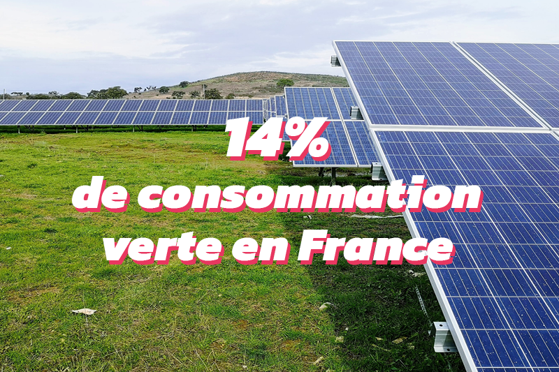 consommation volontaire d'électricité verte 2022