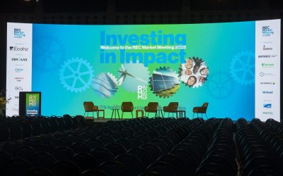 RMM 2025 : Les défis et opportunités des garanties d’origine