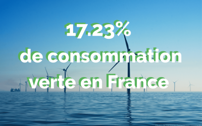 Quelle est la consommation volontaire d’électricité verte en Europe en 2024 ?